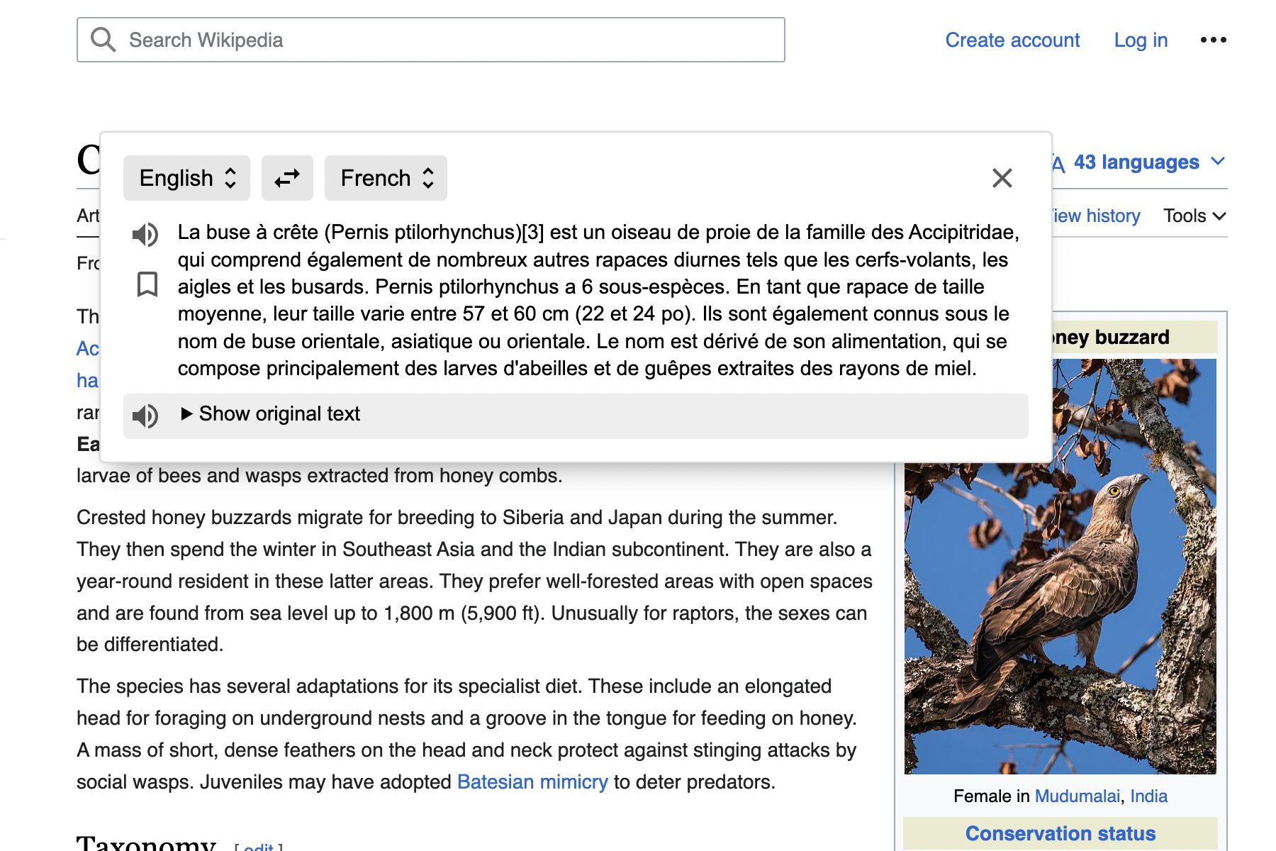 The Linguist translation popup for selected text on Wikipedia page about European honey buzzard